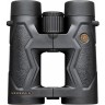 Бинокль LEUPOLD BX-3 MOJAVE 10X50 BLACK 111770